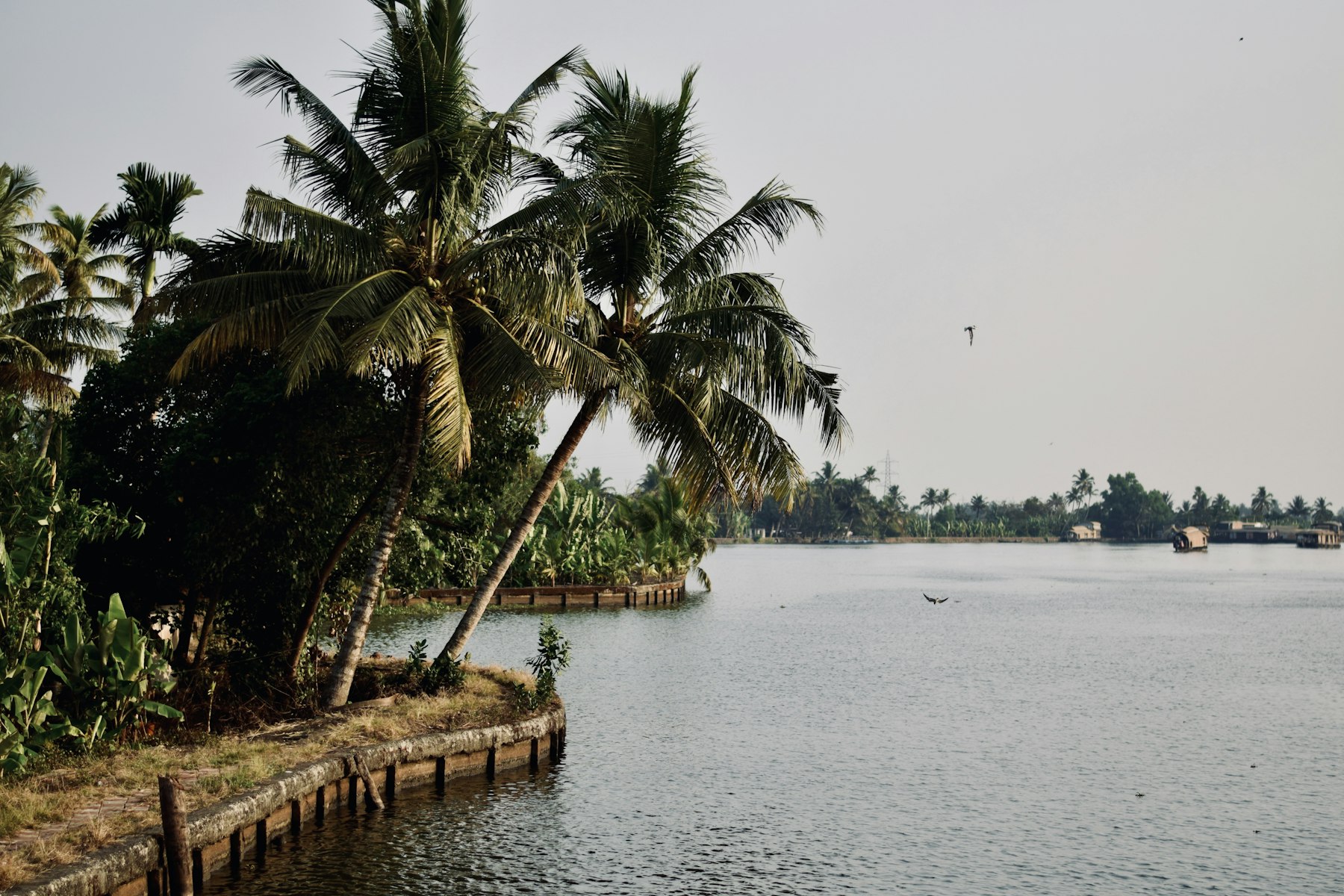 Tata Povam